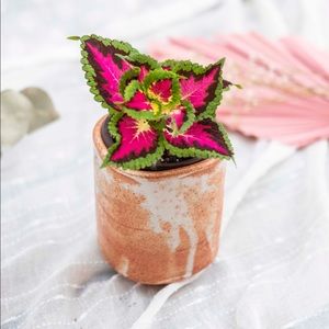 Textured HandmadeCeramic Plant Pot